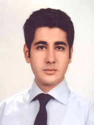 Mehmet DEMİREL